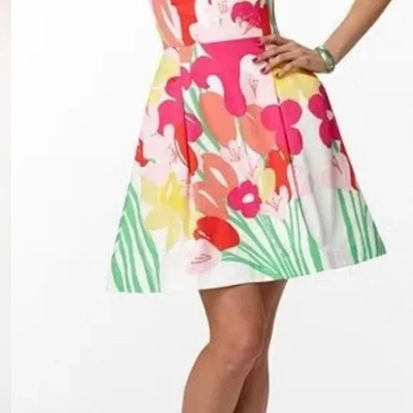 Lilly Pulitzer Summer Dress - Picture 13 of 14